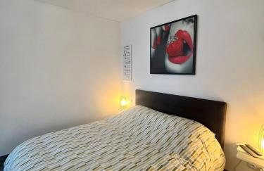 gîte 65 m2 200 m gare t-g-v et fac 400 m centre-ville grand parking 250 places gratuit face au logement - Foto 13