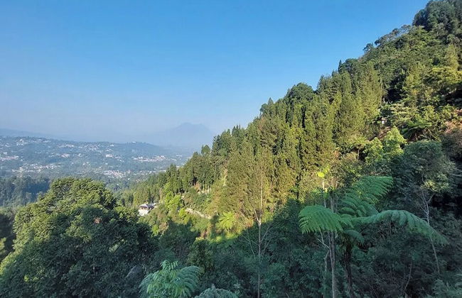 Villa Zoya Montana - Foto 41