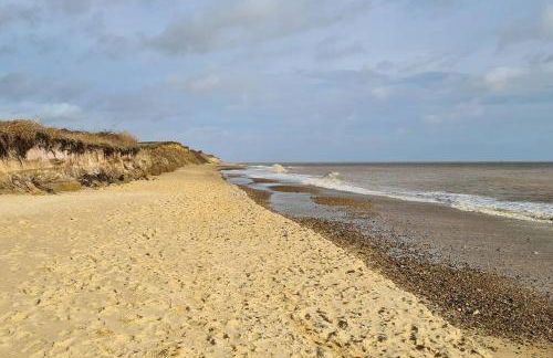 Nina's Cottage - Southwold - Foto 26