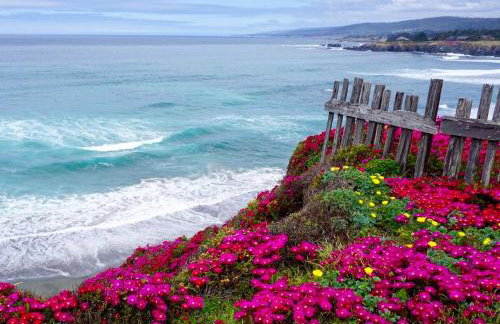 Indigo Tide, True Ocean Bluff at Sea Ranch - Foto 14