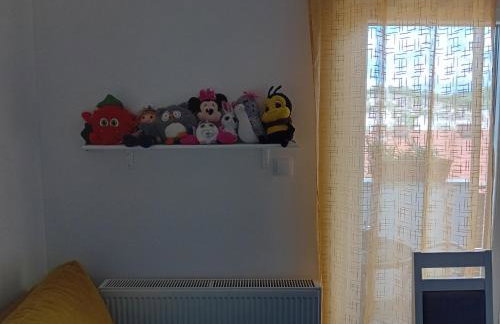 Apartmani Ani - Foto 19