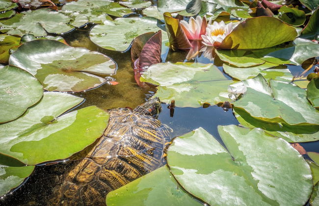 Hello Côte d'Azur - Foto 40