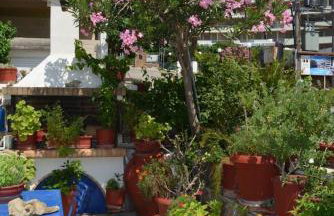 Traditional summer house in Marmari - Foto 33