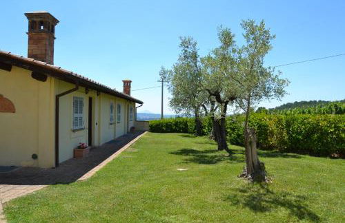 Tenuta Pizzogallo - Foto 29