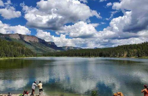 Secluded Mtn home by Purg, Hot Tub, Views! Pets ok - Foto 53