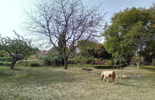 Agroturystyka Zielony Zakątek - Foto 63