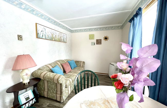 Multicultural Museum Cottages - Photo 53