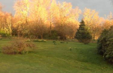 Woodside Cottage Self Catering - Foto 10