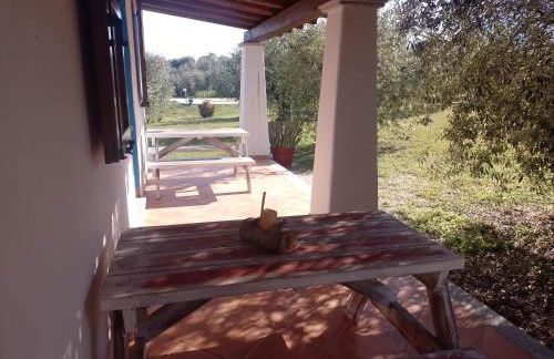 Tenuta Don Ballore Country Resort - Foto 93