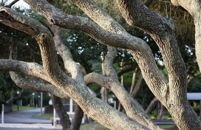 Atlantic Beach Resort, a Ramada by Wyndham - Foto 67