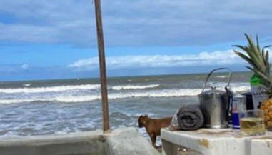 Refúgio Pé na Areia Beira-Mar 8 pessoas - Foto 4