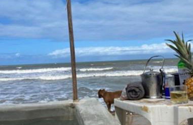 Refúgio Pé na Areia Beira-Mar 8 pessoas - Photo 4