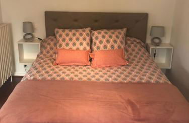 Appartement cosy, en rez de chaussée, en plein centre de CAmbo les Bains - Foto 6