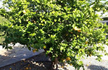 Casa La Rana - Foto 46