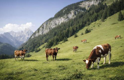 Apartment Am Obersalzberg by Interhome - Foto 30