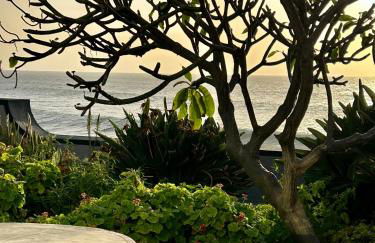 Casa Carneirinho by Olá Madeira - Foto 43