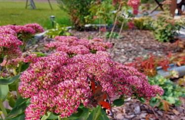 Domek u Beti 2 - Foto 34