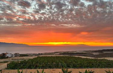 La Cabaña - Foto 12