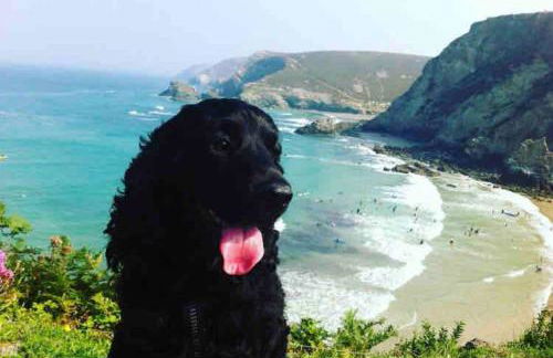 Great location very spacious. Sea and castle view - Foto 25