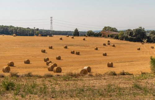 Casa Vermella - Photo 43