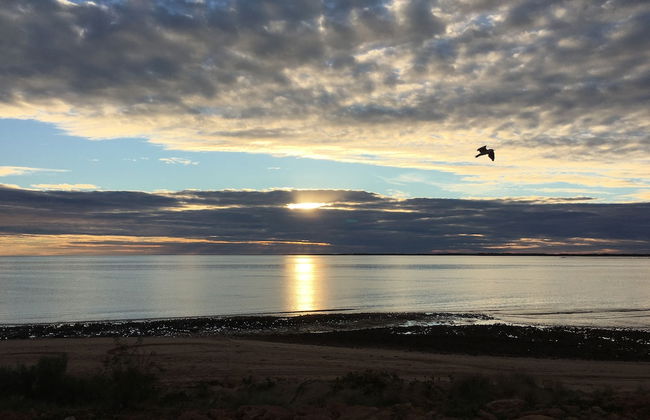 Onslow Beach Resort - Foto 60