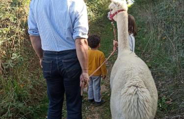 joli gîte plain pied - Foto 21