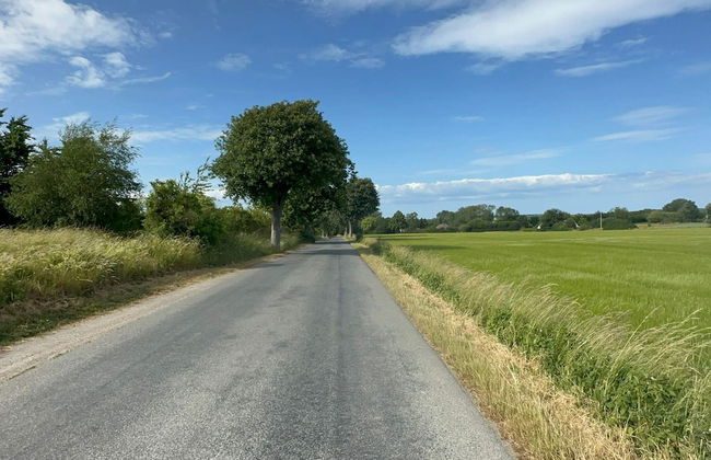 4 Person Holiday Home in Kalvehave - Foto 20