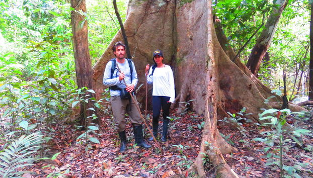 3-Day Amazon Rainforest Tour - Foto 3