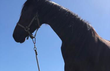 Recanto da Costa - Foto 25