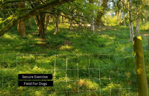 Puddleduck Valley - Dog Friendly - Foto 15