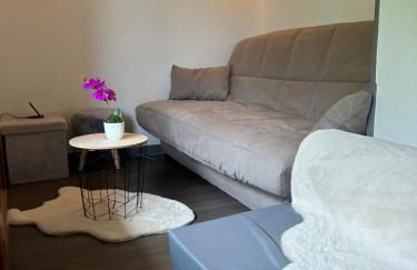 Appartement confortable Abondance centre-ville - Photo 21