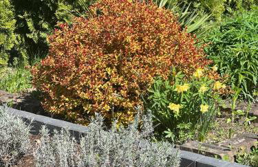 Domek nad Szelągiem - Foto 25