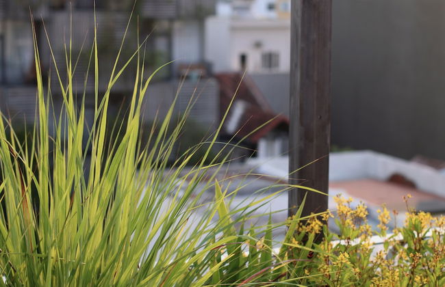 Nha Binh Homestay - Foto 41