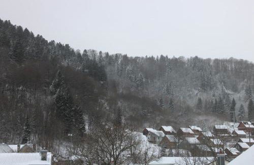 Appartement Centre Ville MONT DORE Vacances et Week-End Classé 3 Etoiles - Foto 19