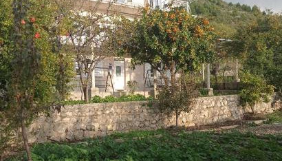 Apartment Lucija with sea view - Foto 4, Garden