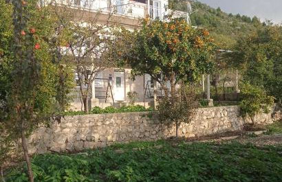 Apartment Nikola - Foto 1