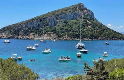 Comfort e panorama mozzafiato a Golfo Aranci - Foto 18