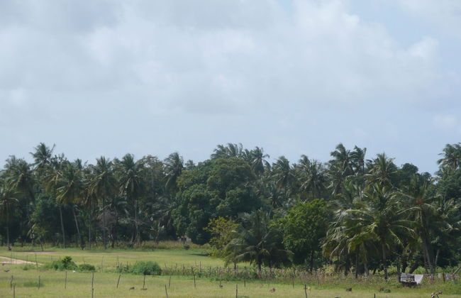 Azanza Mtwapa Holiday Home - Foto 31