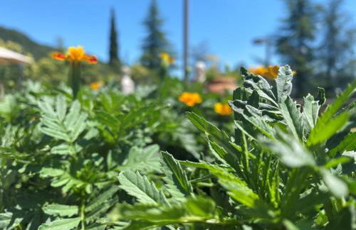 Residence delle Tre Corone - Photo 33