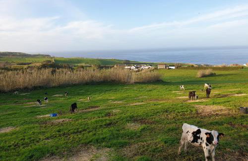 Casa Rotas a Nordeste - Foto 13