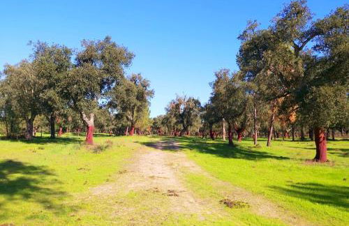 Casas Herdade do Convento da Serra - Foto 47