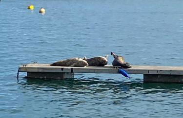 Little Trevio - seaside haven with parking and sea views - Photo 47