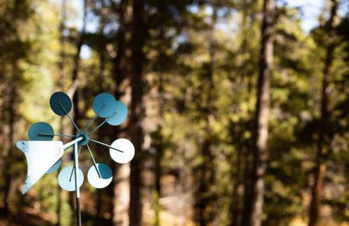 Lake Flora Cabin - Foto 22