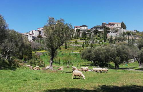 Pie' d'Ulivo - Foto 46