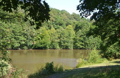 Frankenau Fewo Kellerwald - Foto 15