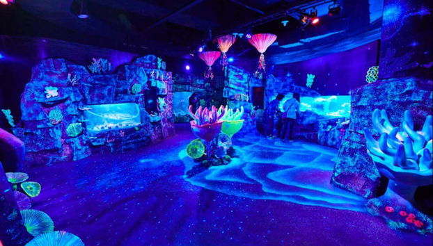 Step into an underwater world!