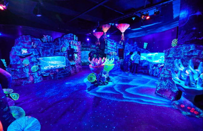 Entrada al Acuario de Busan - Foto 3