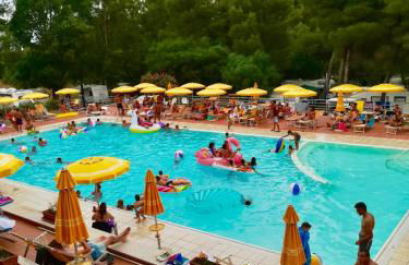 Villaggio Camping Golfo di Arzachena - Foto 38