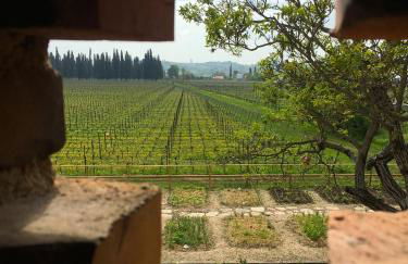 Domus Cariana - Foto 49