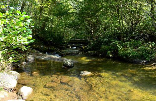 The Junction - Foto 32